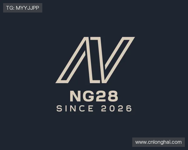 解读NG28